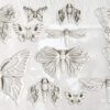 Monarch Moule silicone IOD