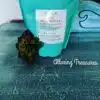 Sea Spray Dixie Belle – Image 2
