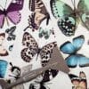 PAPILLON COLLECTION – Image 4