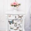 PAPILLON COLLECTION – Image 3