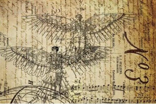 DREAMS OF FLIGHT 1