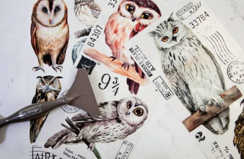 Owl – Image 4