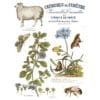 Transferts Brocante IOD