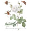 Brocante IOD – Image 4