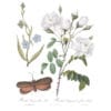 Brocante IOD – Image 9