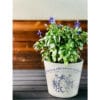 Traditional Pots IOD – Image 7