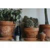 Traditional Pots IOD – Image 9