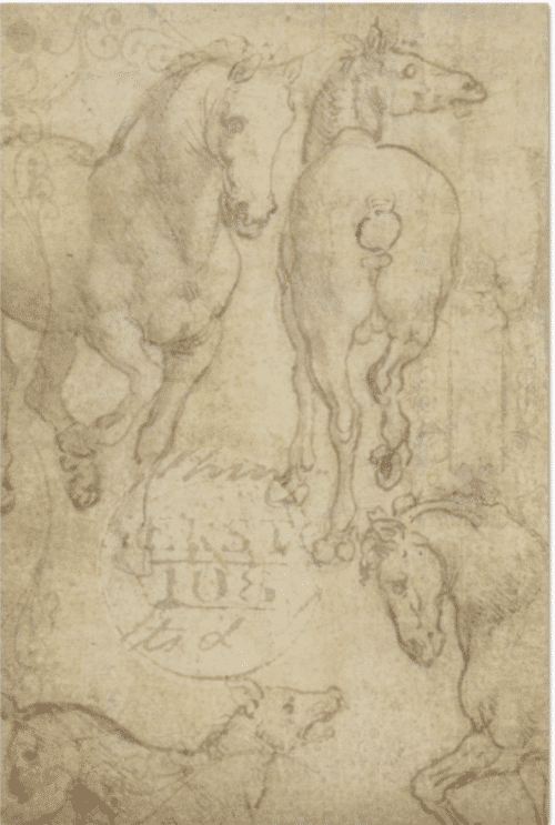 Cheval - Papier découpage (50 x 76 cm)