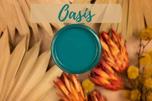 Oasis - Desert Collection – Image 2