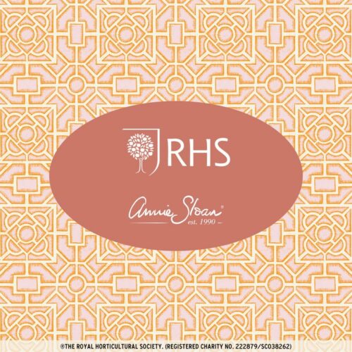 Borders, RHS with Annie Sloan Decoupage Paper – Image 4