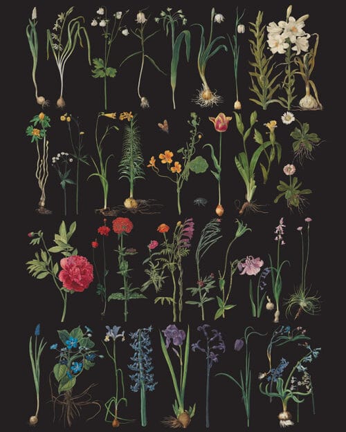 Formal Garden, RHS with Annie Sloan Decoupage Paper