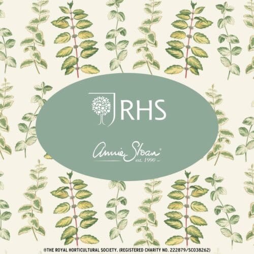 Mint, RHS with Annie Sloan Decoupage Paper – Image 4