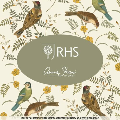 Songbirds, RHS with Annie Sloan Decoupage Paper – Image 4