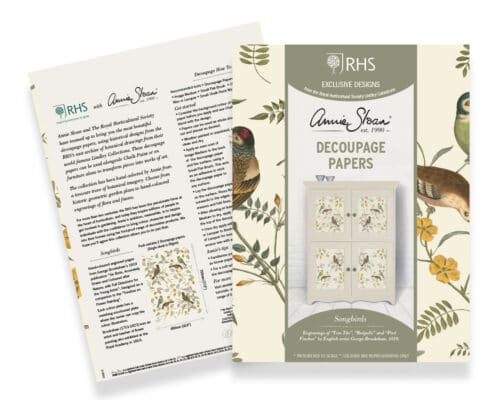 Songbirds, RHS with Annie Sloan Decoupage Paper – Image 5