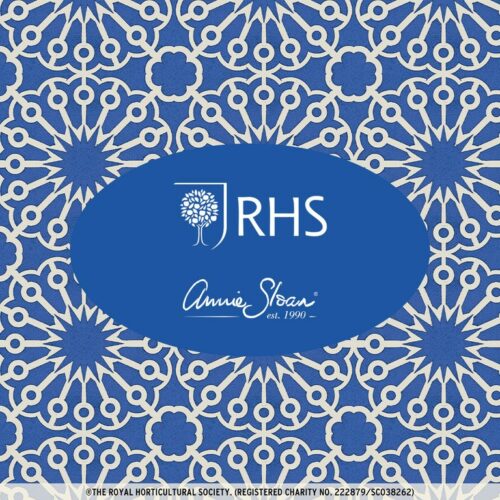 Starburst, RHS with Annie Sloan Decoupage Paper – Image 4