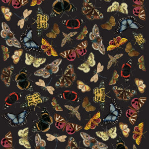 Winged Wildlife, RHS with Annie Sloan Decoupage Paper