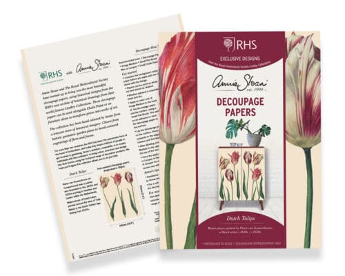 Dutch Tulips, RHS with Annie Sloan Decoupage Paper – Image 4