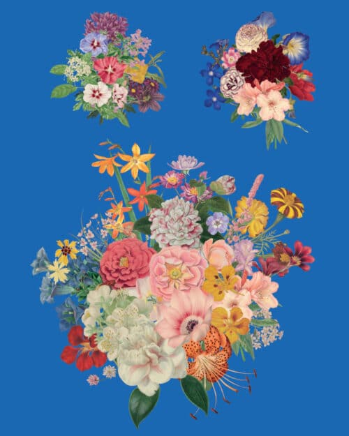 Floribunda, RHS with Annie Sloan Decoupage Paper