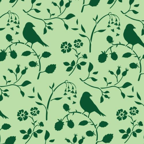 COUNTRYSIDE BIRD – Image 5