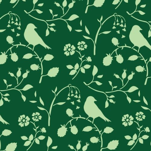 COUNTRYSIDE BIRD – Image 6