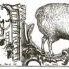 Cotswolds Transfert IOD – Image 12