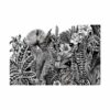 Abstract Jungle Transfert