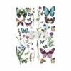 Butterfly Oasis Transfert