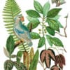 Bungalow - Transfert IOD – Image 12