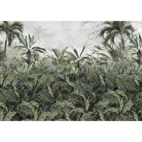 Somewhere Tropical