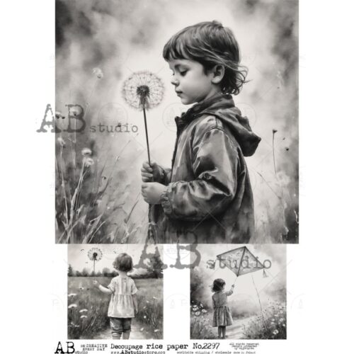 ID-2297 Papier de Riz