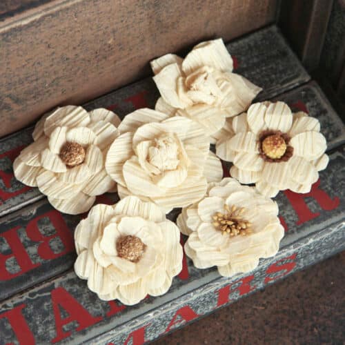 Fleurs Prima "SARAH" - 6pcs