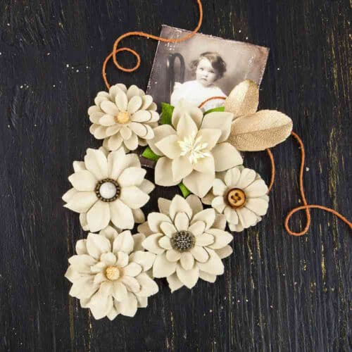 Fleurs Prima "COY- HELLAINE" - 6pcs