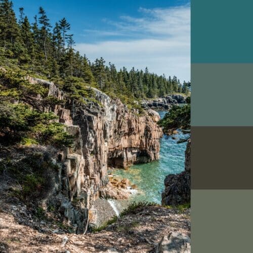 Acadia - National Park Palette Collection – Image 11