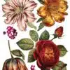 Collage de Fleurs - Transfert IOD – Image 11