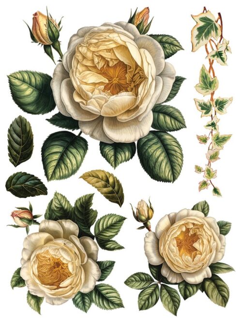 Collage de Fleurs - Transfert IOD – Image 10