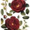 Collage de Fleurs - Transfert IOD – Image 7