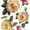 Collage de Fleurs - Transfert IOD – Image 6