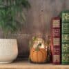 Autumn Cottage Moule silicone IOD - 15,24 x 25,40 cm - Edition limitée – Image 3