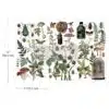 Botanical Archives