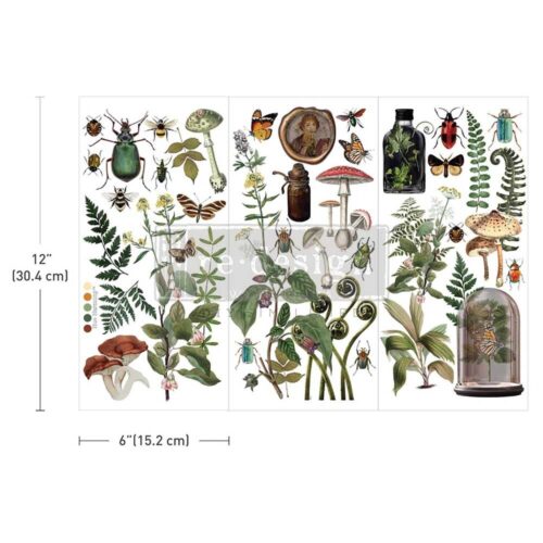 Botanical Archives