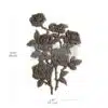 Ethereal Bouquet – Decor Poly (moulure décorative)