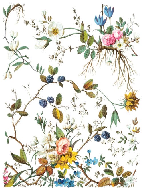 Lost Garden - Transfert IOD - 30,48x40,64cm – Image 9