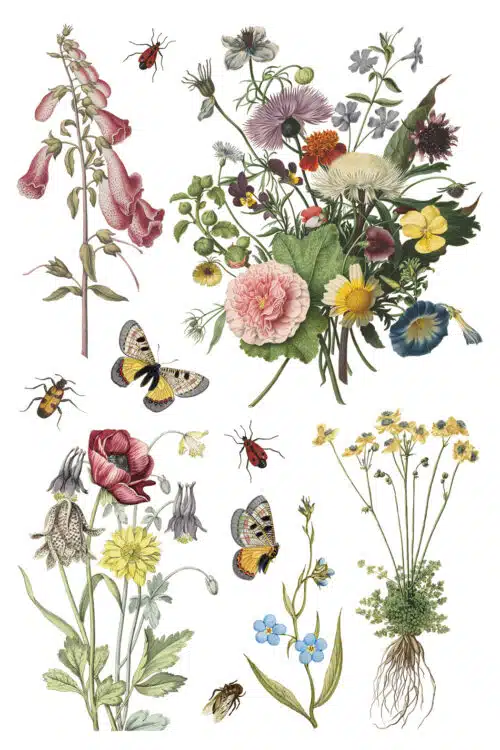 Wilde Bloemen - Transfert IOD - 20x30cm – Image 5