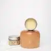 Pre-Stain Wood Conditioner Dixie Belle / Belles and Whistles