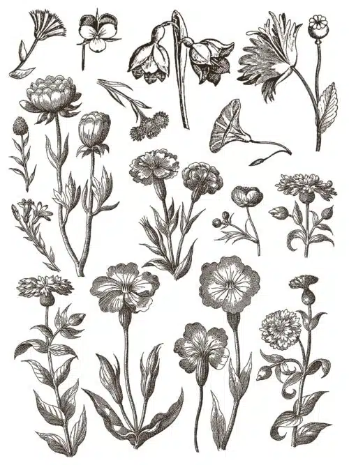 Floriography - Paint Inlay IOD – Image 6