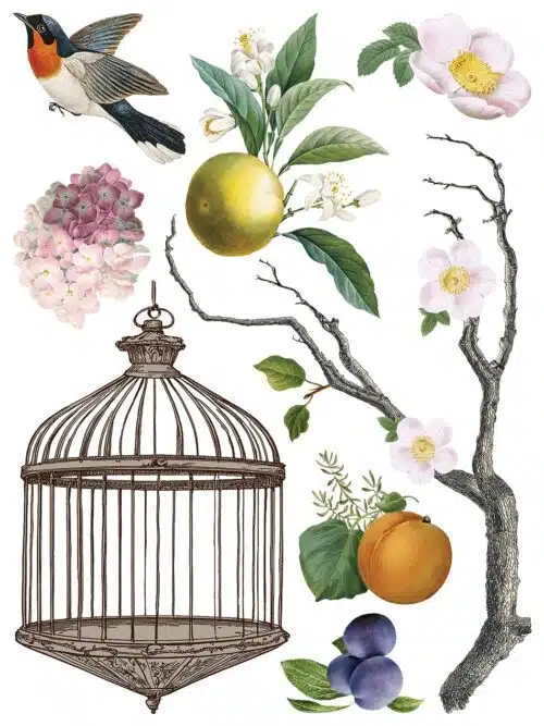 Menagerie- Transfert IOD - 30,48x40,64cm – Image 10