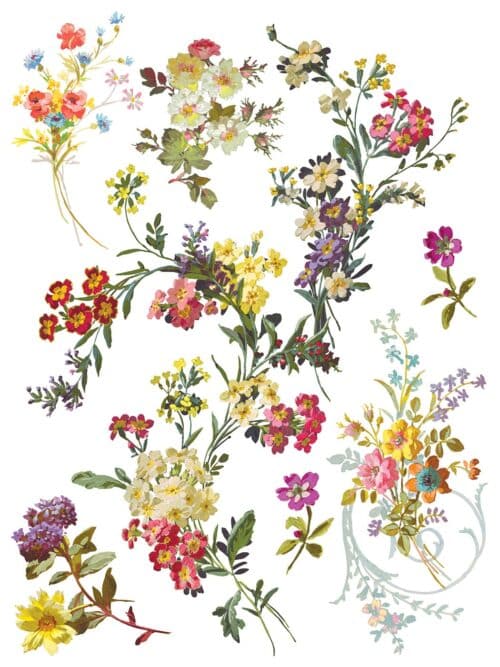 Saint Germain - Transfert IOD - 30,48x40,64cm – Image 10