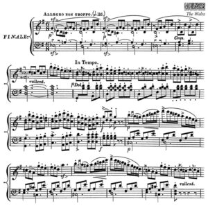 The Waltz – Tampon IOD