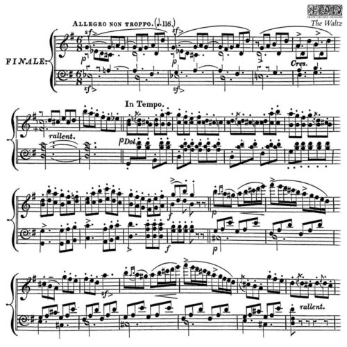 The Waltz – Tampon IOD