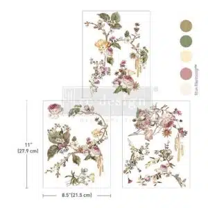 Rosette Royale – Middy Transfert